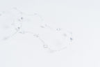 Adelina Fairy Light