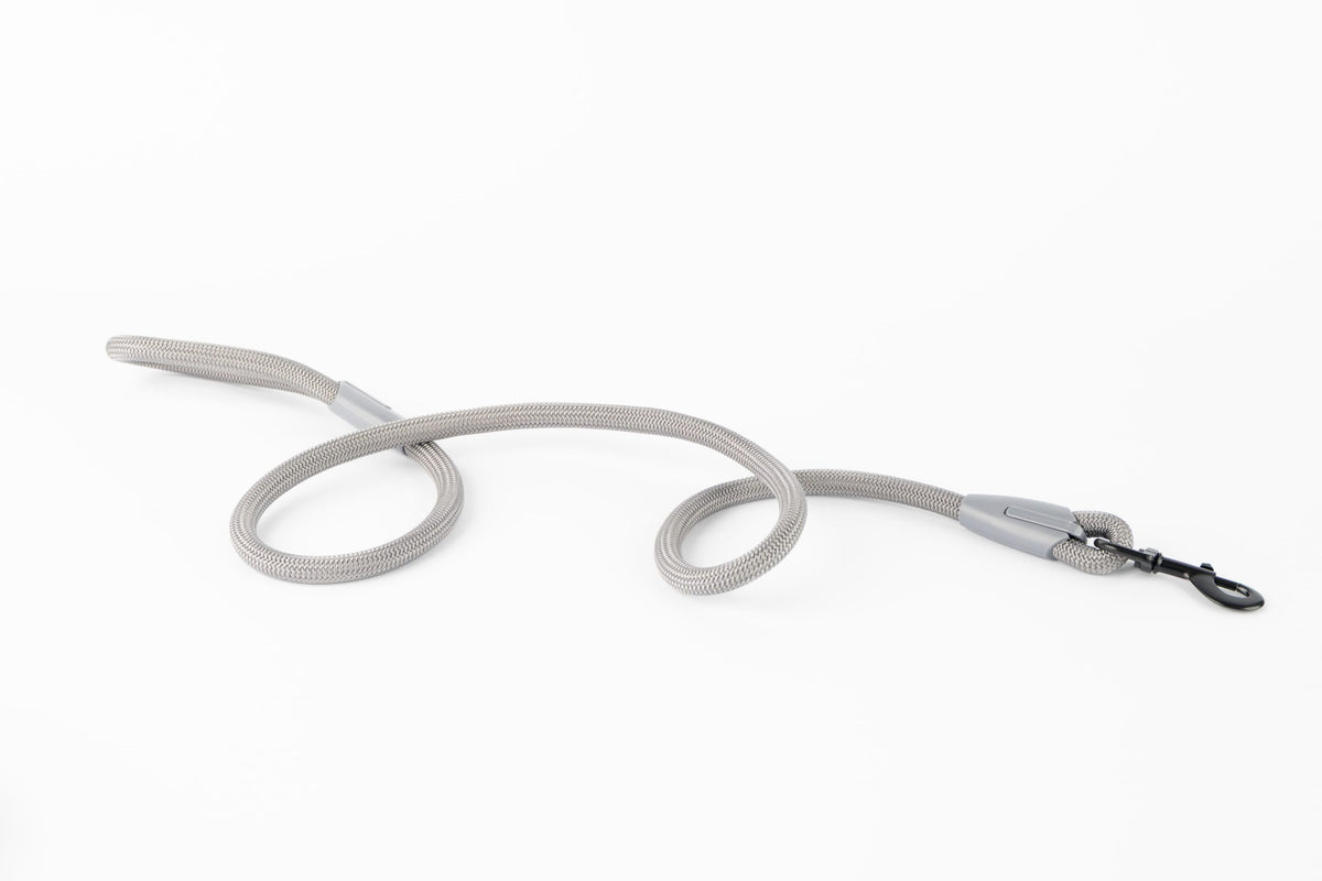 Arden Dog Leash