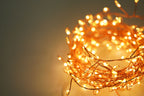 Lincoln Fairy Lights