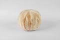 Ollie Cushion Poly Antarctica