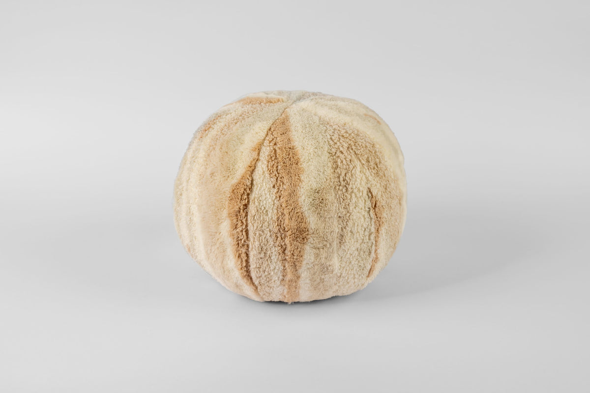 Ollie Cushion Poly Antarctica