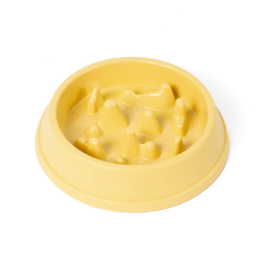 Timothy Slow Pet Feeder
