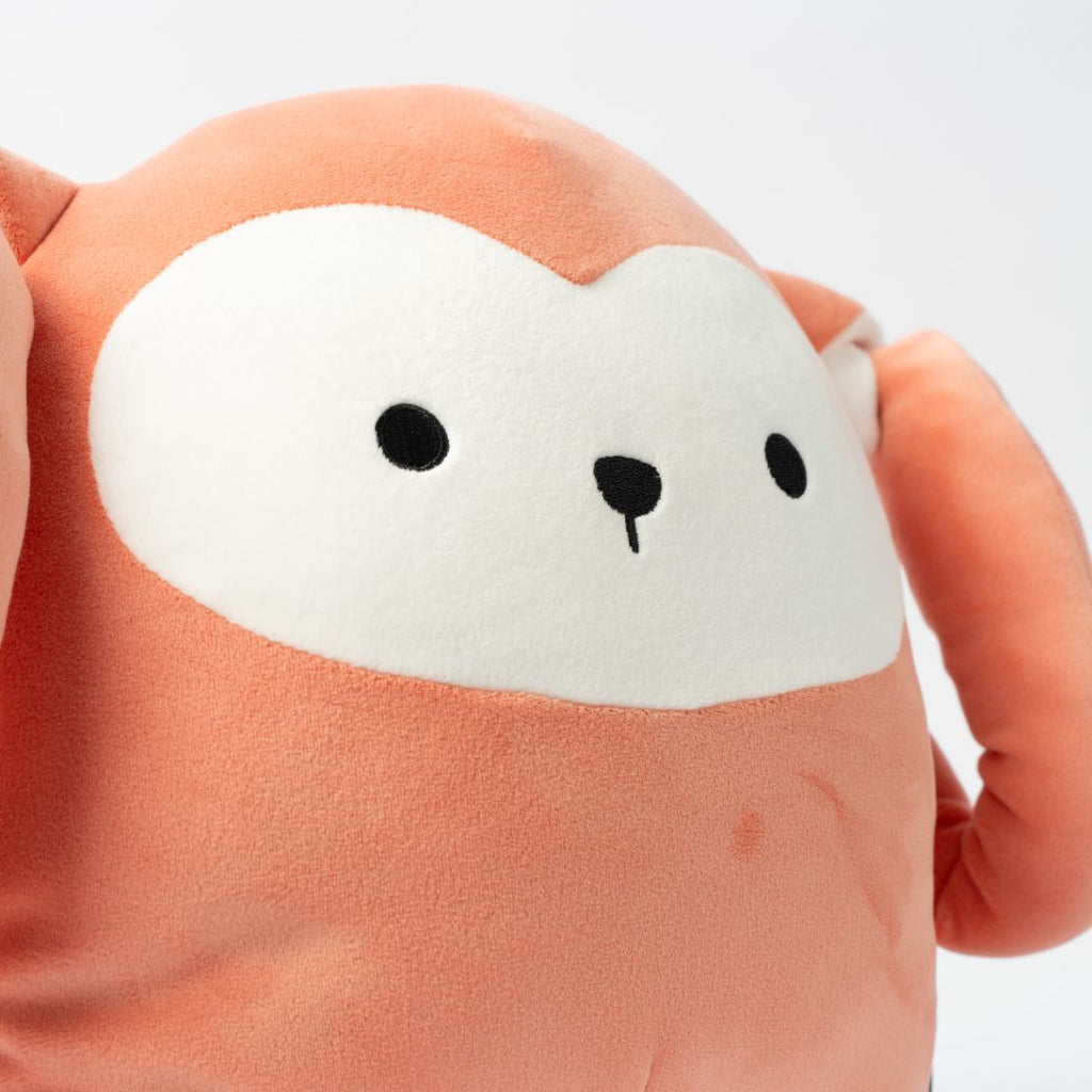 Teeto Plush Toy