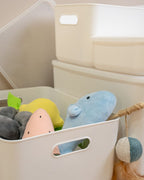 Whitney Storage Organiser with Lid
